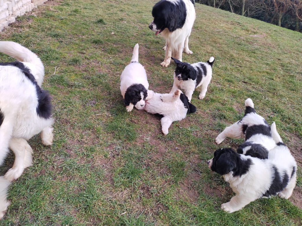 Galerie vom Familienausflug in den Garten